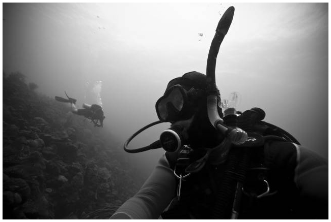 Curacao underwater photo